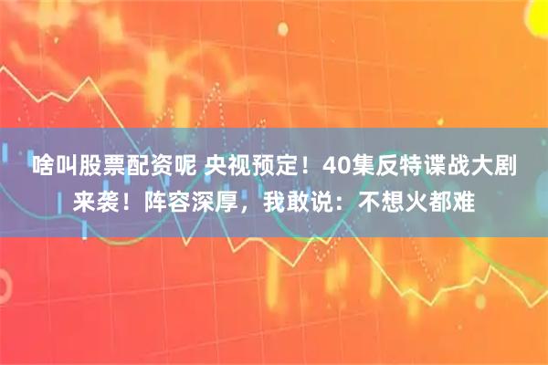 啥叫股票配资呢 央视预定！40集反特谍战大剧来袭！阵容深厚，我敢说：不想火都难